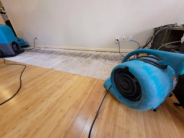 Reliable Basement Flood Cleanup contractor in Hattiesburg, MS by Hirex Water Damage