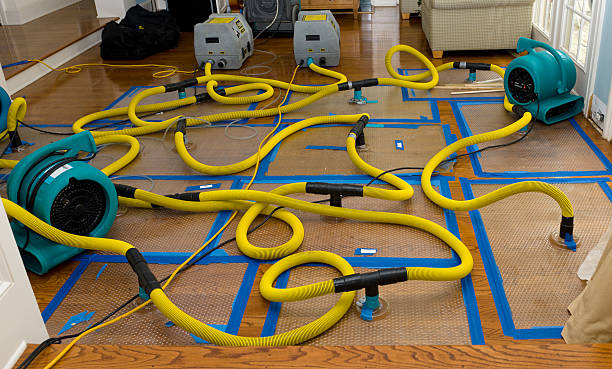 Professional Basement Flood Cleanup technician working in Hattiesburg, MS
